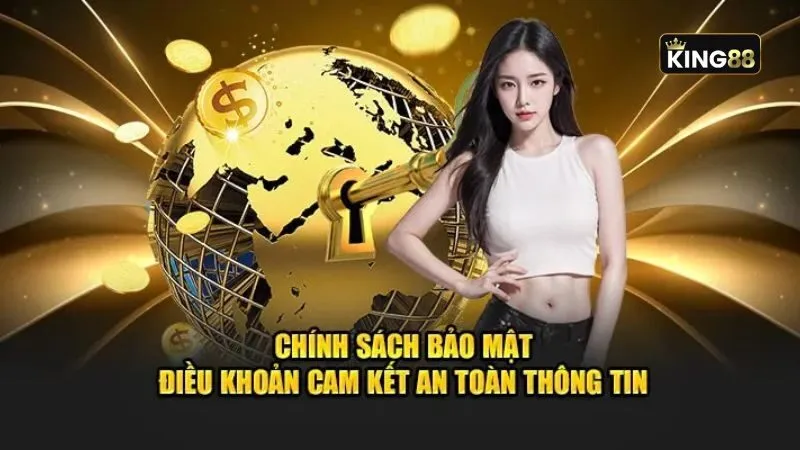 Nội dung chính trong chính sách người chơi cần biết Nội dung chính trong chính sách người chơi cần biết